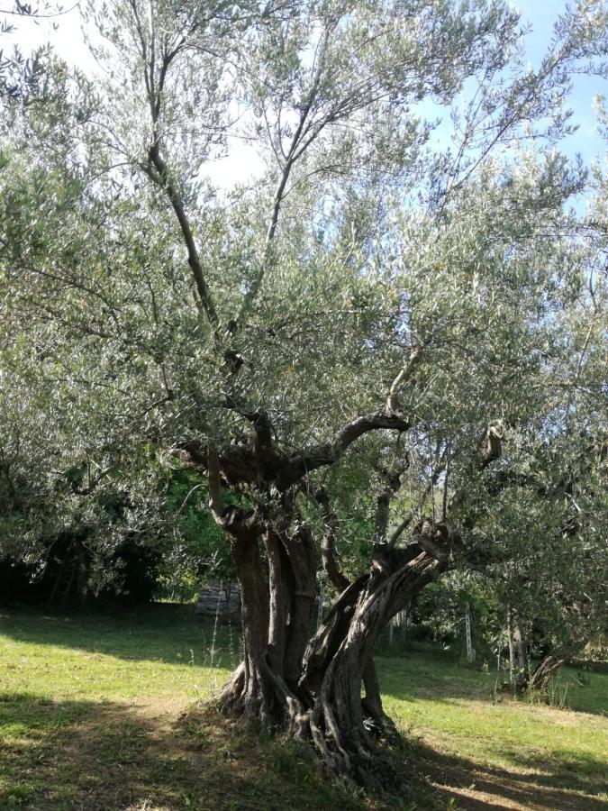 Vacanze In Collina, Tra Mare E Monti Bucchianico Экстерьер фото